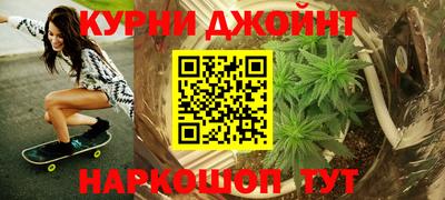 мдпв Кингисепп