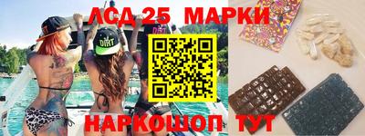 мдпв Кингисепп