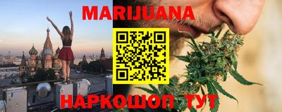 мдпв Кингисепп