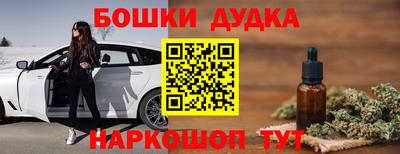 мдпв Кингисепп
