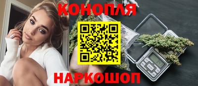 мдпв Кингисепп