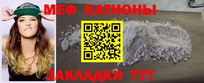 мдпв Кингисепп
