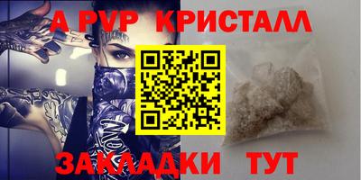 мдпв Кингисепп