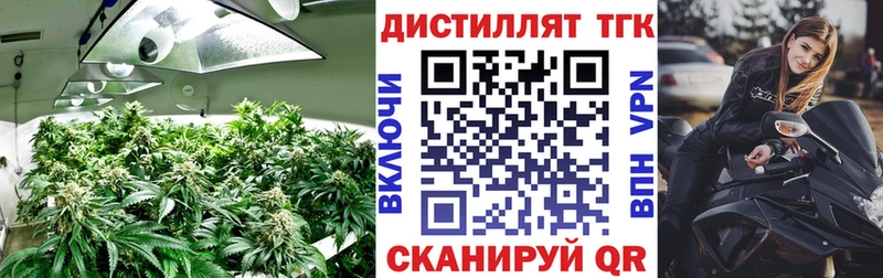 OMG онион  Лабытнанги  площадка состав  наркота  ТГК жижа 