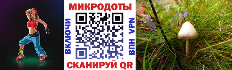 купить наркотик  Лабытнанги  Псилоцибиновые грибы мухоморы 
